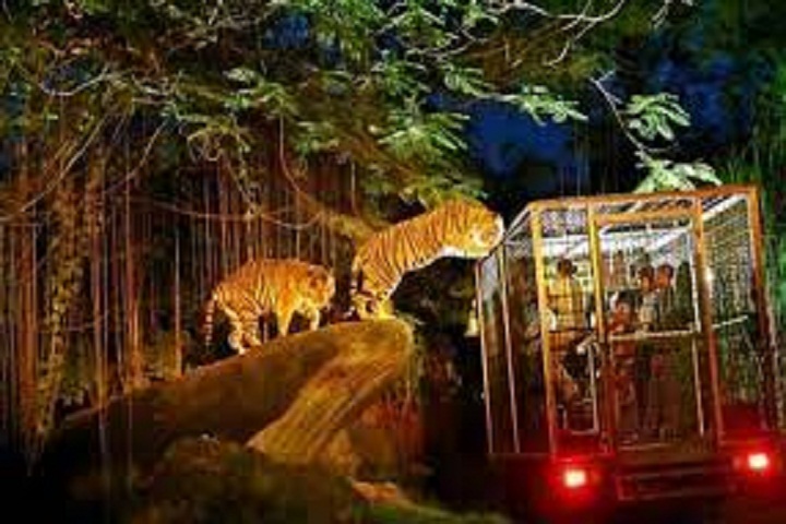 Night safari@Globalduniya