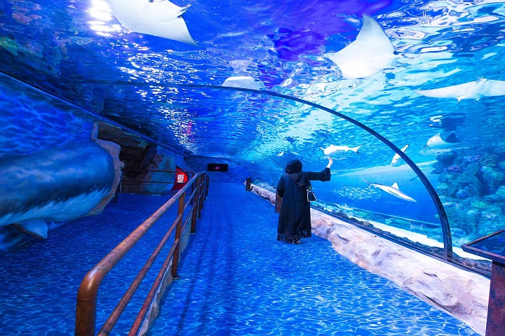 Dubai Aquaiums & Underwater zoo@Globalduniya